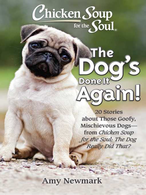 Cover image for Chicken Soup for the Soul